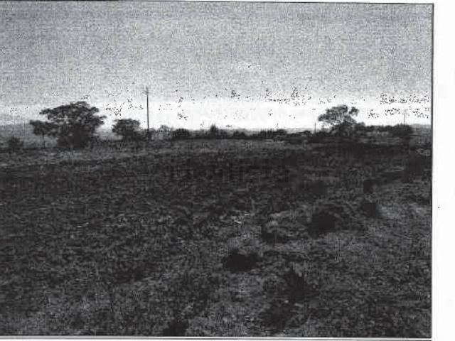 Terreno in vendita di 1093 m² in Contrada Musa