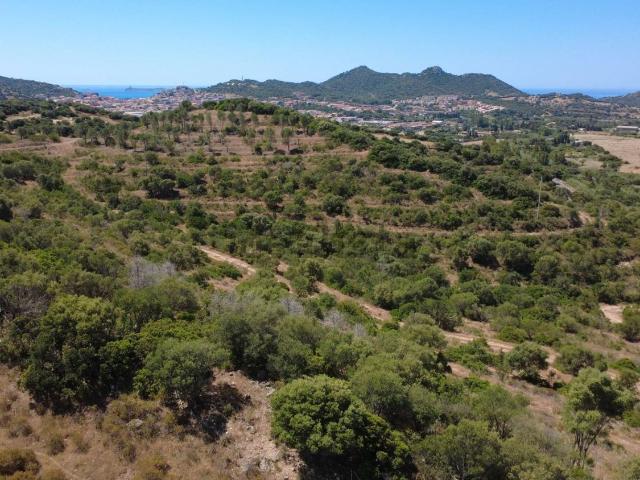 Terreno in vendita di 10918 m² in Strada Provinciale 19