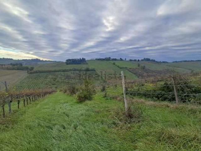 Terreno in vendita di 109264 m² in Via Sabbioni