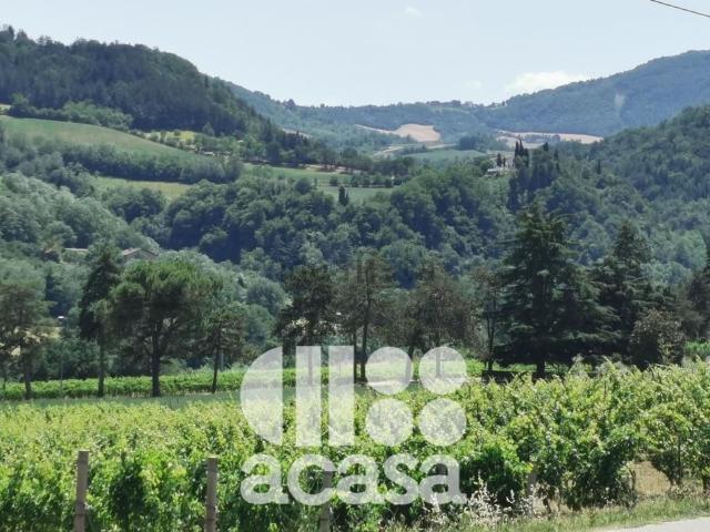 Terreno in vendita di 100000 m²