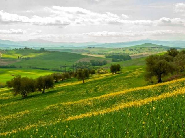 Terreno in vendita di 100000 m² in Contrada San Giuseppe