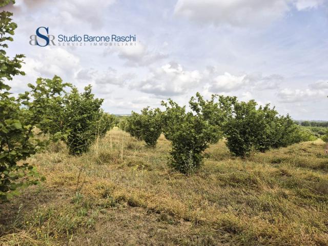 Terreno in vendita di 100000 m² in Strada Corteccoli