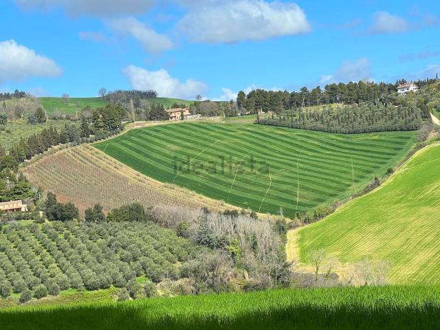 Terreno in vendita di 100000 m² in Strada Provinciale Mombaroccese
