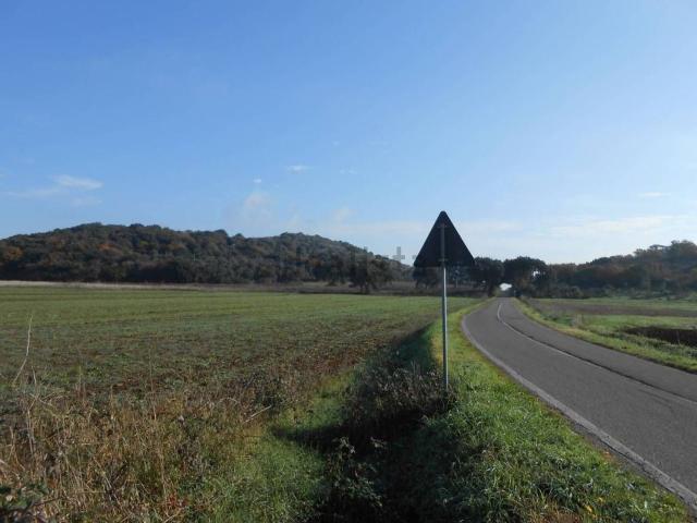 Terreno in vendita di 100000 m² in Strada Provinciale Pedemontana