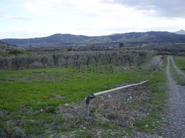 Terreno in vendita di 100000 m² in Strada Statale 598 di Fondo Valle d&apos Agri