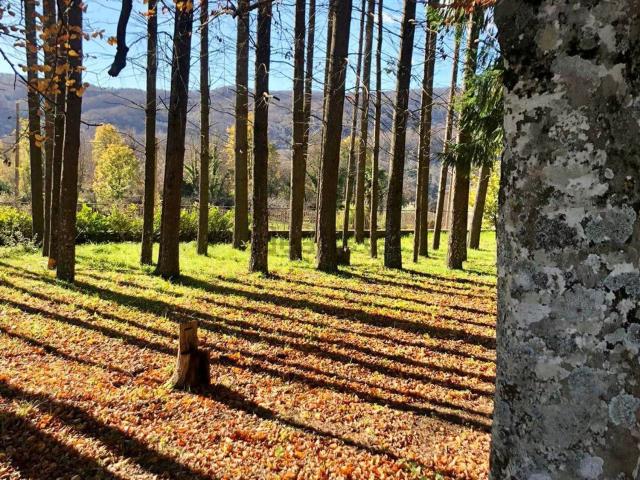 Terreno in vendita di 100000 m² in Via Monache