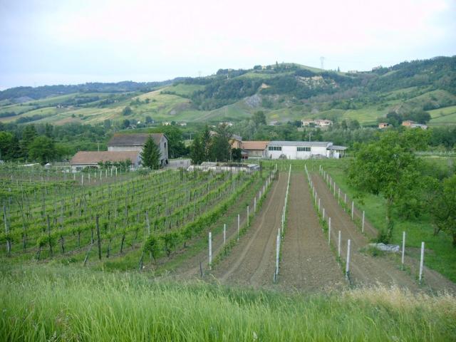 Terreno in vendita di 100000 m² in Via Fagnano