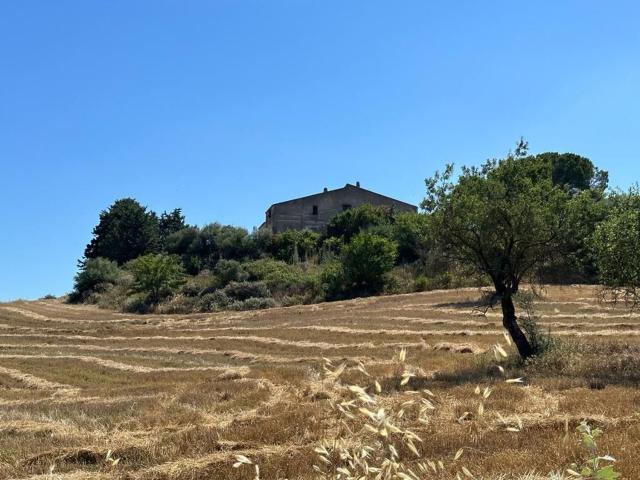 Terreno in vendita di 100000 m² in Via Giacomo Cusmano