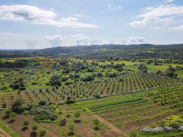 Terreno in vendita di 100000 m² in Via Tommaso Fazello, 228