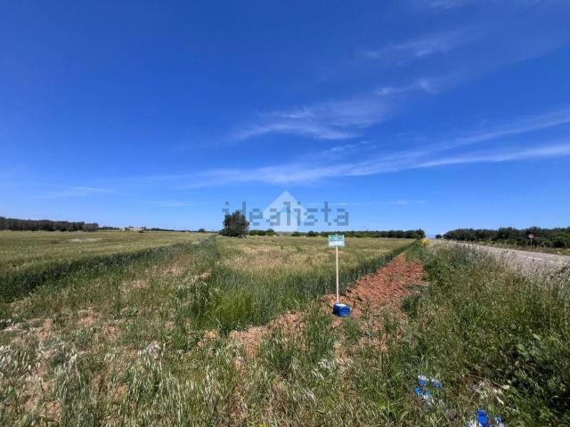 Terreno in vendita di 10000 m²