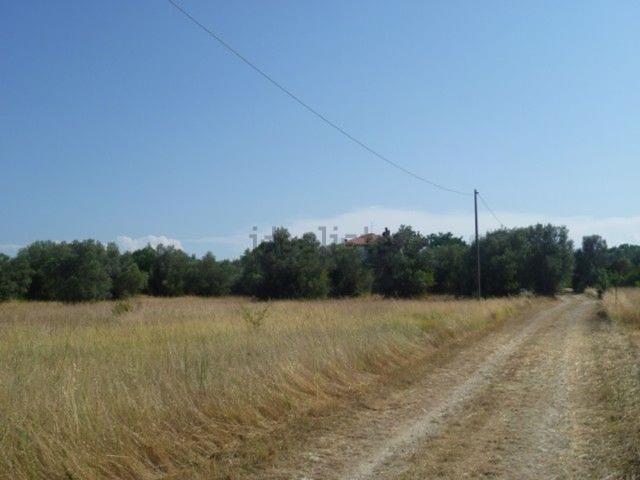 Terreno in vendita di 10000 m²