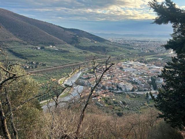 Terreno in vendita di 10000 m²