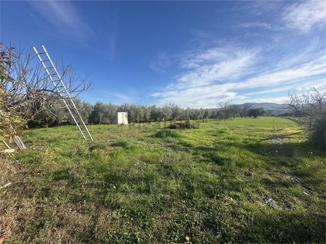 Terreno in vendita di 10000 m²