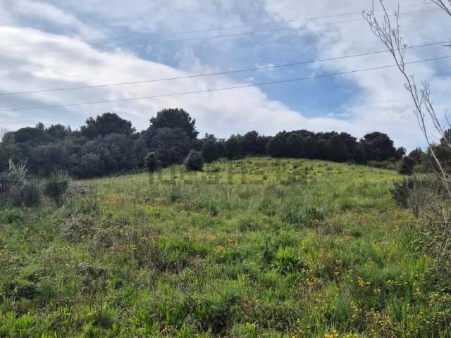 Terreno in vendita di 10000 m²
