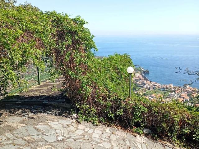 Terreno in vendita di 10000 m²