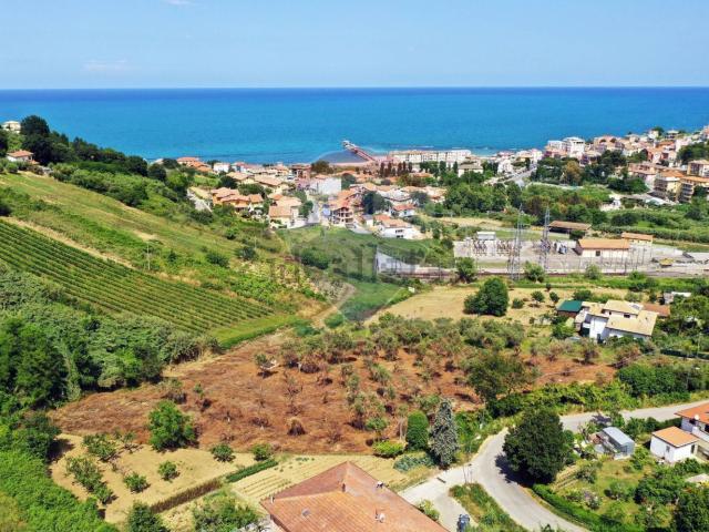 Terreno in vendita di 10000 m²