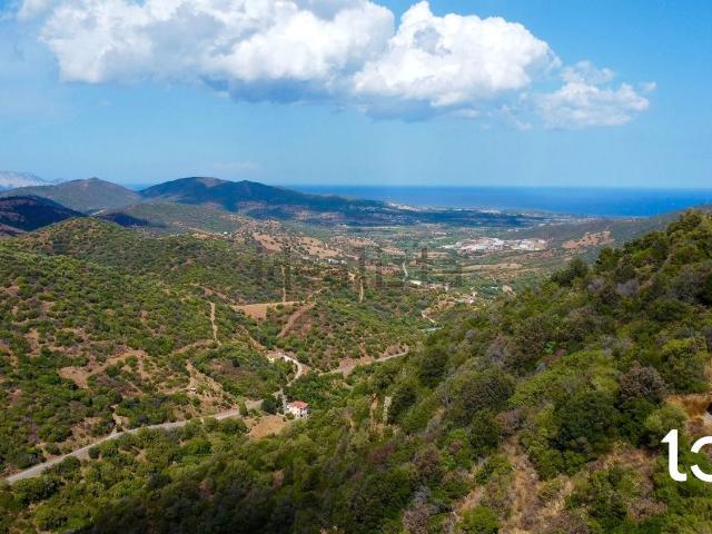 Terreno in vendita di 10000 m²