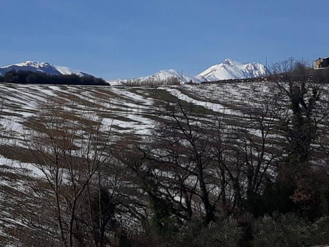 Terreno in vendita di 10000 m²