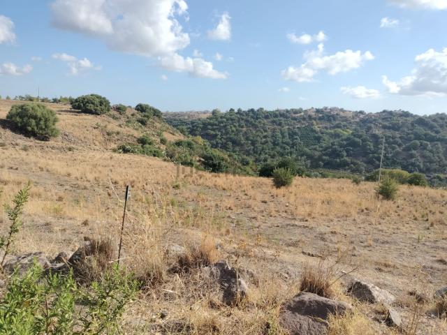 Terreno in vendita di 10000 m² in Via Ciricò
