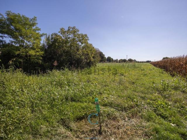 Terreno in vendita di 10000 m² in Via Don Minzoni Giovanni