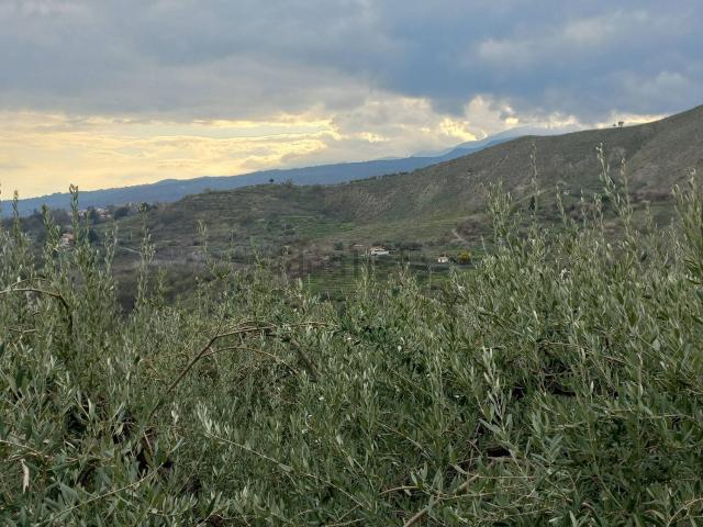 Terreno in vendita di 10000 m² in Via Difesa