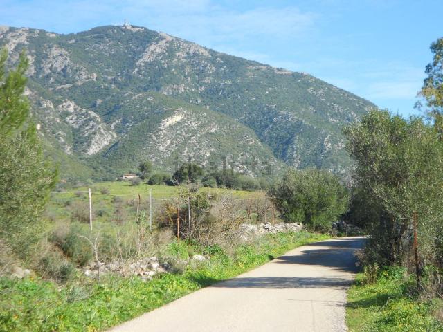 Terreno in vendita di 10000 m² in Via Fois