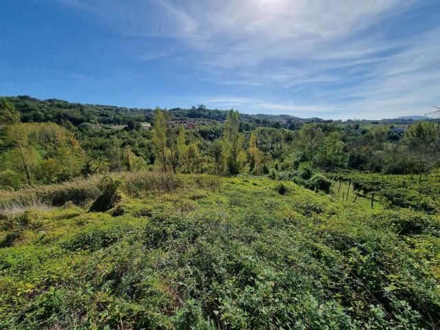 Terreno in vendita di 10000 m² in Via tavernanova