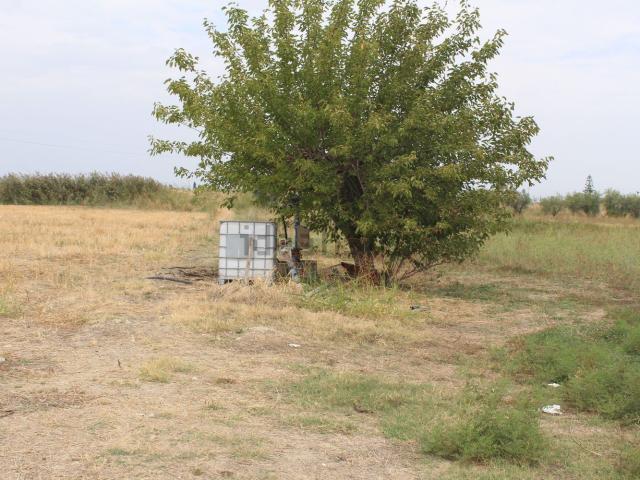 Terreno in vendita di 10000 m² in Viale San Giusto
