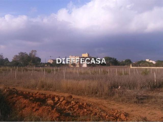 Terreno in vendita di 10000 m² in Contrada Ventrischi