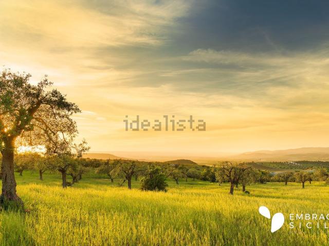 Terreno in vendita di 10000 m² in Contrada Bimmisca/Calcicera