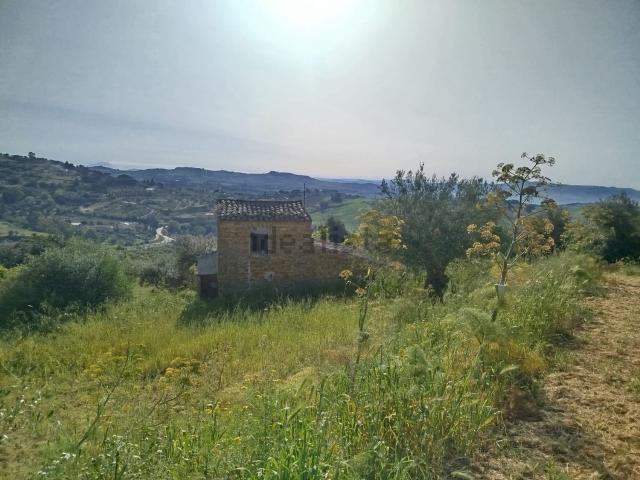 Terreno in vendita di 10000 m² in Contrada Cammarella