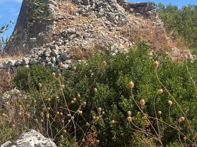 Terreno in vendita di 10000 m² in Contrada Campanile