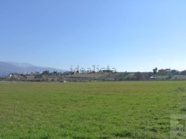 Terreno in vendita di 10000 m² in Contrada Rocchi