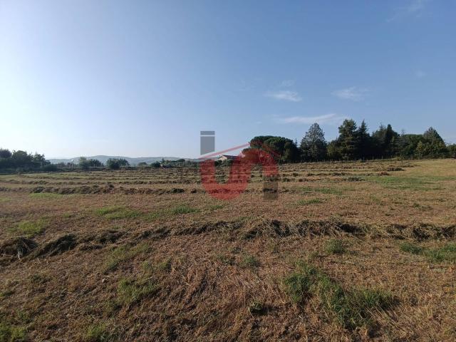 Terreno in vendita di 10000 m² in Contrada San Chirico