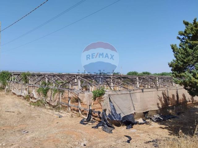 Terreno in vendita di 10000 m² in Corso Indipendenza