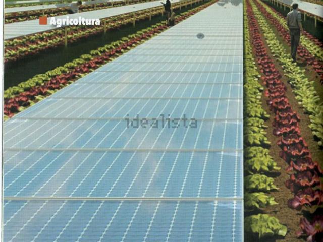 Terreno in vendita di 10000 m² in Piazza cattedrale, 16