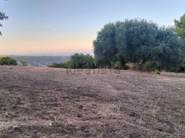 Terreno in vendita di 10000 m² in Strada Comunale Montesecco