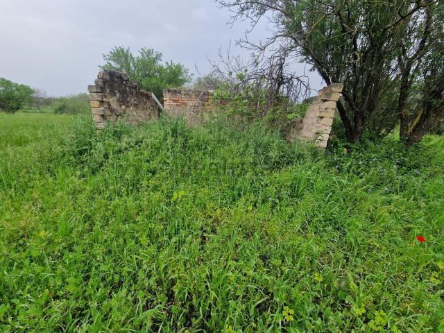 Terreno in vendita di 10000 m² in Strada del Salice