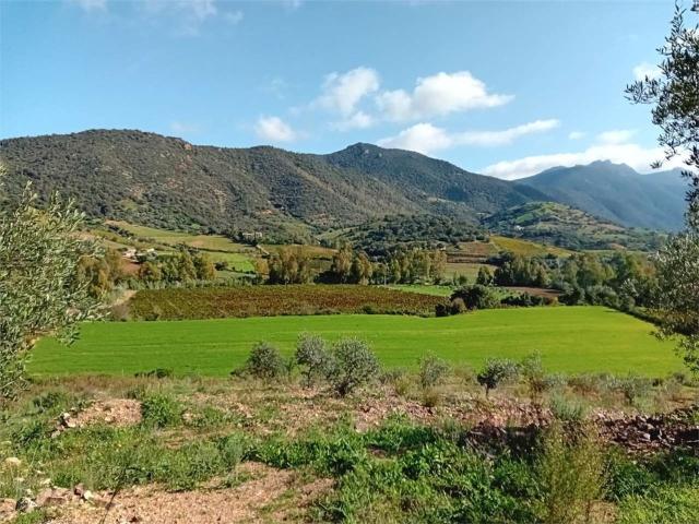 Terreno in vendita di 10000 m² in Strada Statale 125 Orientale Sarda