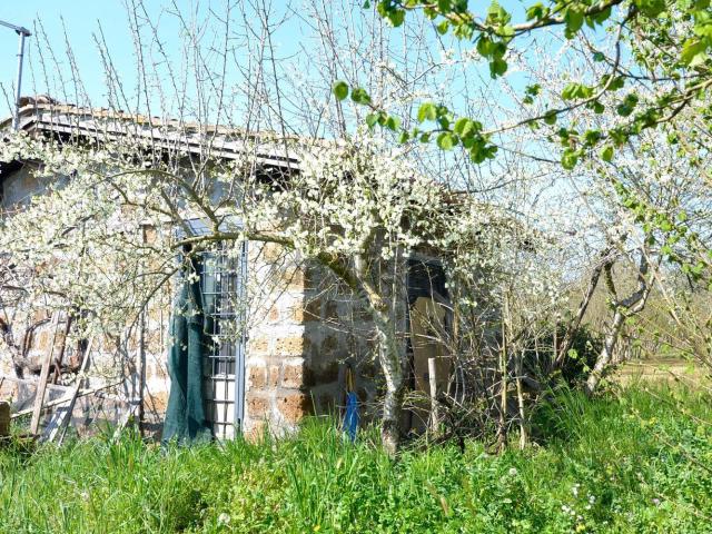 Terreno in vendita di 10000 m² in Strada Pogliere
