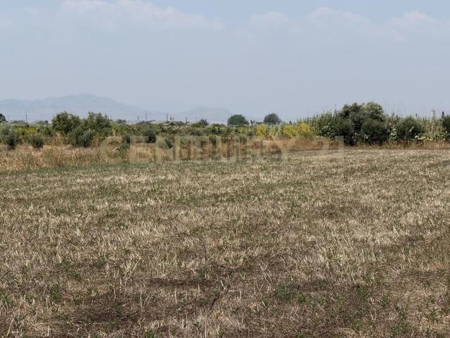 Terreno in vendita di 10000 m² in Strada Provinciale 104