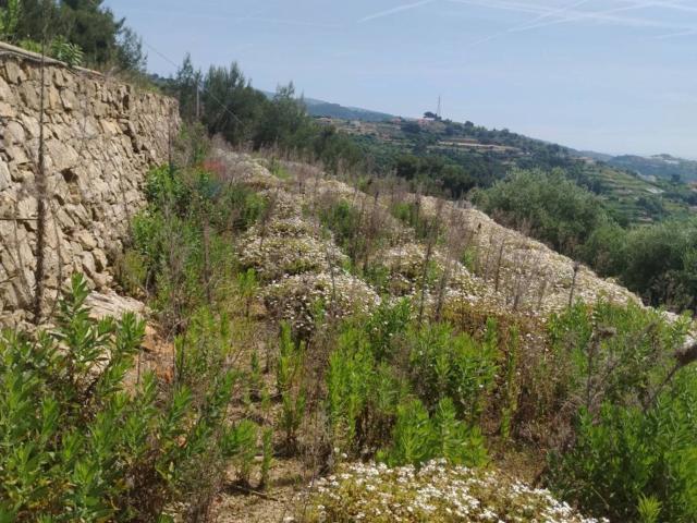 Terreno in vendita di 10000 m² in Strada Villetta