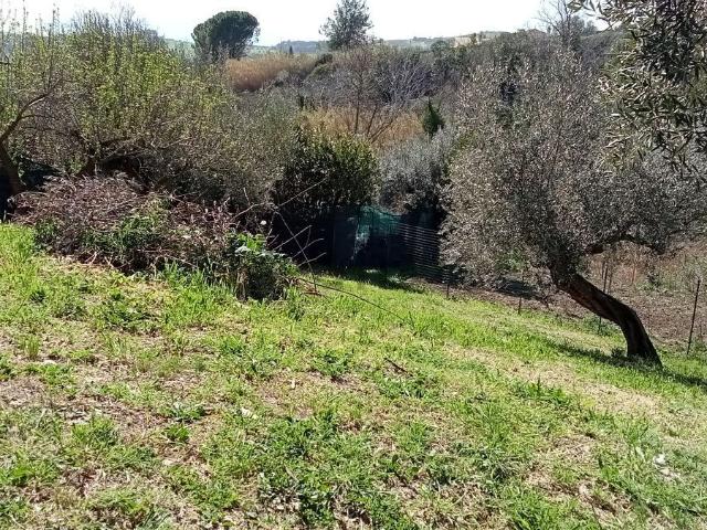 Terreno in vendita di 1000 m² in Contrada San Silvestro