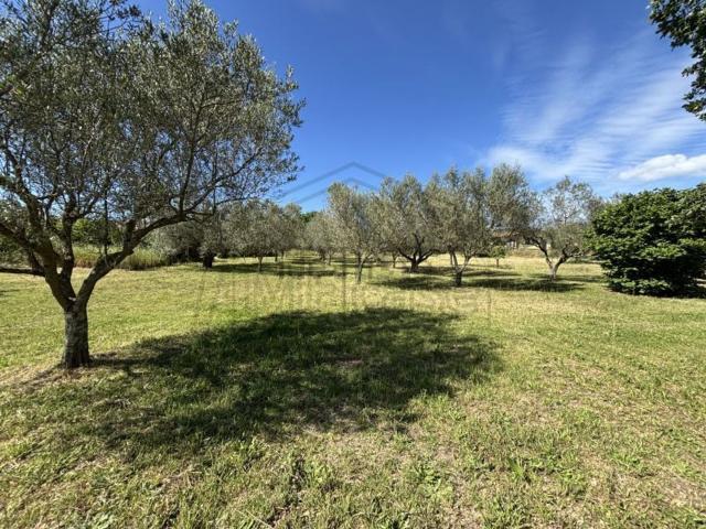 Terreno in vendita di 1000 m² in Via 8 Marzo