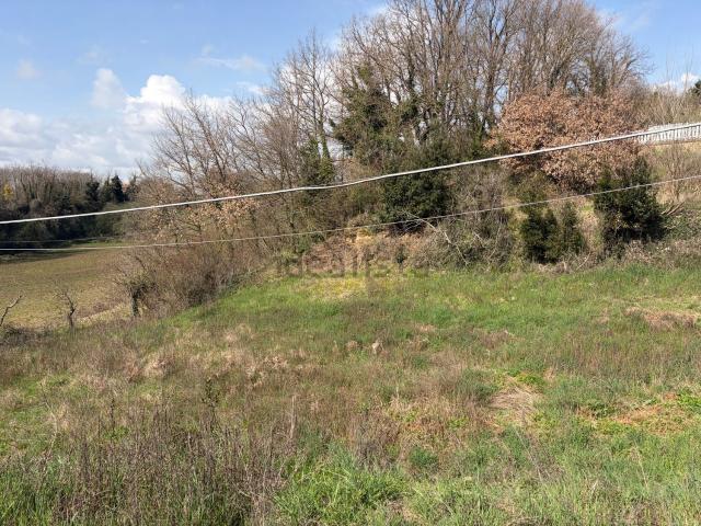 Terreno in vendita di 1000 m² in Via Abate Sperandini