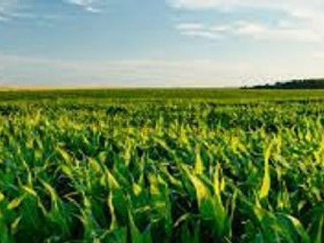 Terreno in vendita di 1000 m² in Via Cà Memo