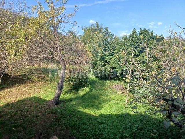 Terreno in vendita di 1000 m² in Via Cafferonio