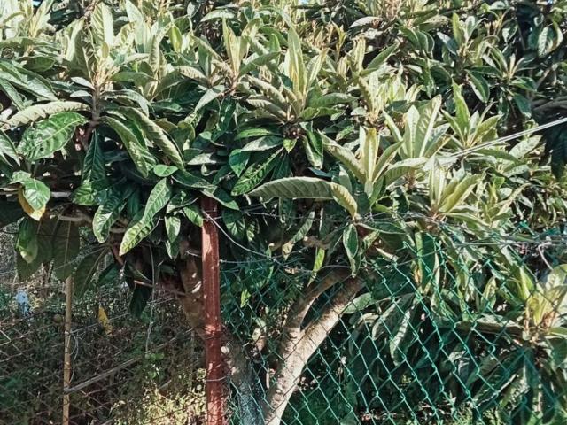 Terreno in vendita di 1000 m² in Via de Barberi