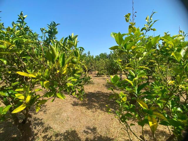 Terreno in vendita di 1000 m² in Via Kennedy
