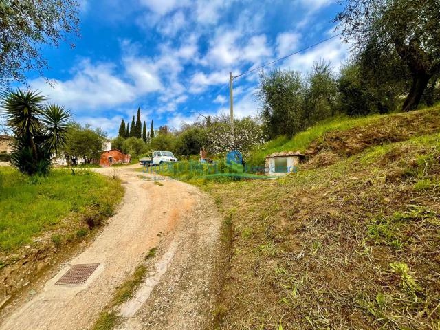 Terreno in vendita di 1000 m² in Viale Fedele Fedeli